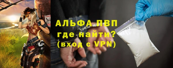 гашик Карпинск