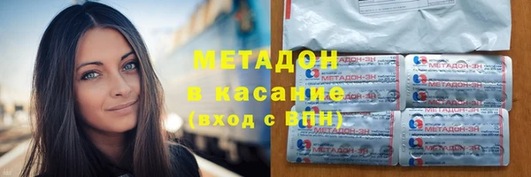 шишки Каменногорск
