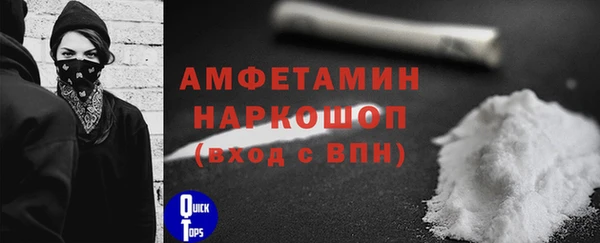 шишки Каменногорск