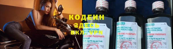 СК Касимов