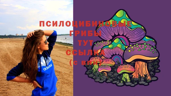 COCAINE Каменка
