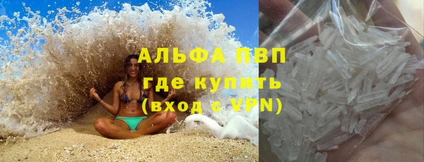 шишки Каменногорск