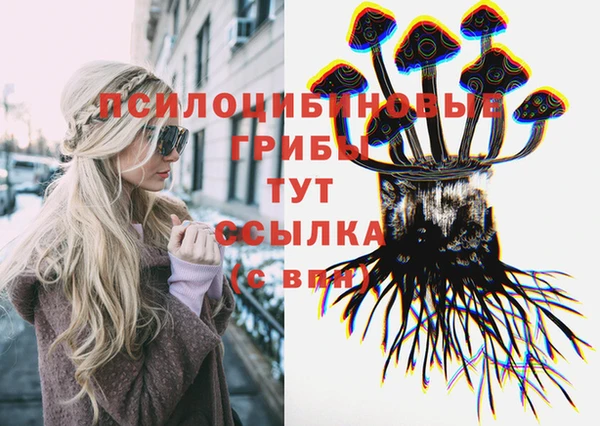 дурь Ростов