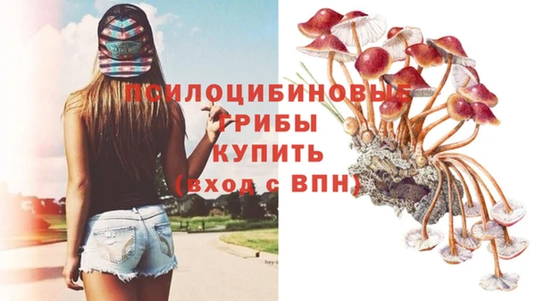 шишки Каменногорск