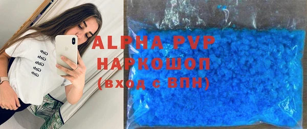 шишки Каменногорск