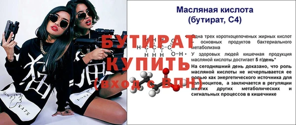шишки Каменногорск